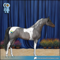 Horse Color:Brown Roan Tobiano Rabicano