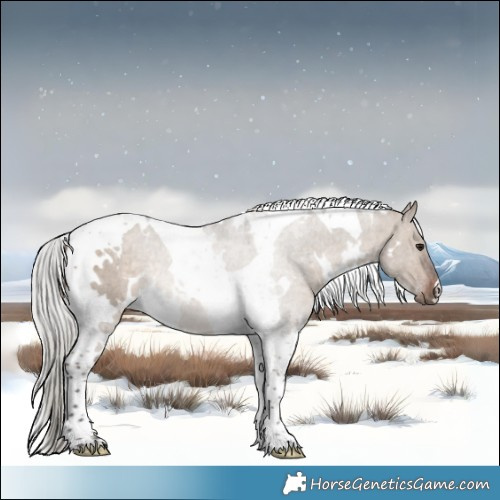 Horse Color:White Spotted Silver Brown Dun Tobiano Rabicano 