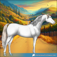 Horse Color:White Spotted Perlino Splash Tobiano Rabicano 