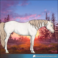 Horse Color:Perlino Roan Tobiano 