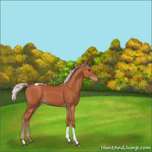 Horse Color:Silver Bay Tobiano 