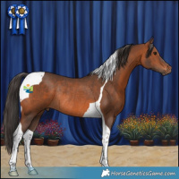 Horse Color:Bay Tobiano Rabicano 