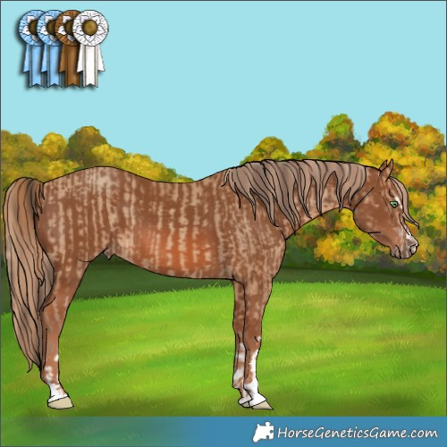 Horse Color:Amber Champagne  and Chestnut 