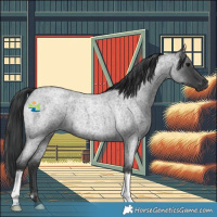 Horse Color:Blue Roan 