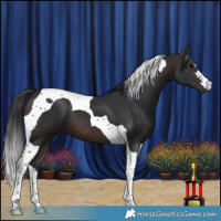Horse Color:Brown Tobiano