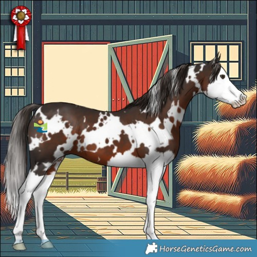 Horse Color:White Spotted Liver Chestnut Splash 