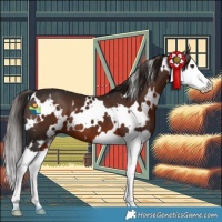 Horse Color:White Spotted Liver Chestnut Splash 
