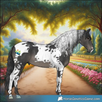 Horse Color:Black Tobiano 
