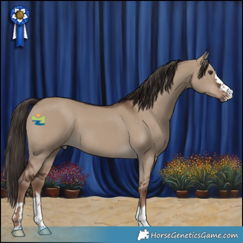 Horse Color:Liver Red Dun 