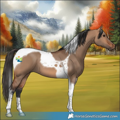 Horse Color:Bay Dun Tobiano 