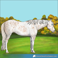 Horse Color:Chocolate Palomino Pearl Tobiano Frame  and Gray Chocolate Palomino Pearl Tobiano Frame 