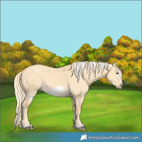 Horse Color:White Spotted Palomino Dun Frame 