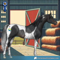 Horse Color:Brown Tobiano Rabicano 