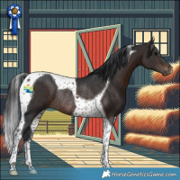 Horse Color:Brown Tobiano Rabicano 