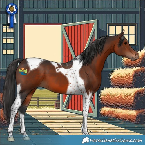 Horse Color:Brown Tobiano 