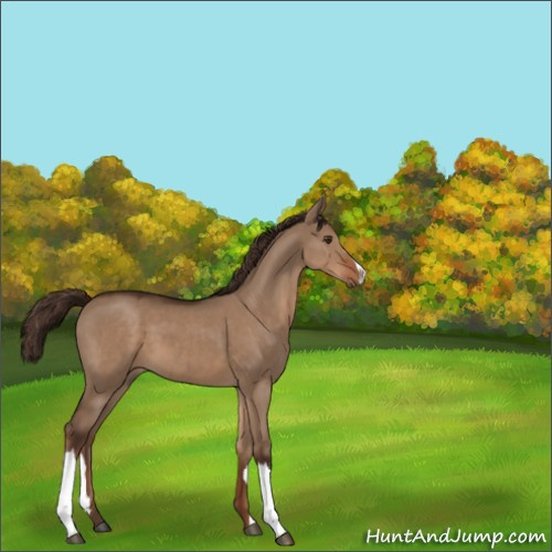 Horse Color:Liver Red Dun 