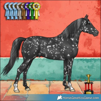 Horse Color:Black Snowflake Varnish