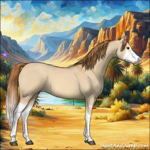 Horse Color:Red Dun Roan Splash Frame Rabicano