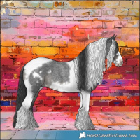 Horse Color:Blue Roan Tobiano Frame 