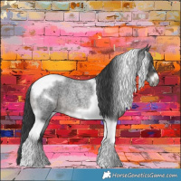 Horse Color:Blue Roan Tobiano Frame 