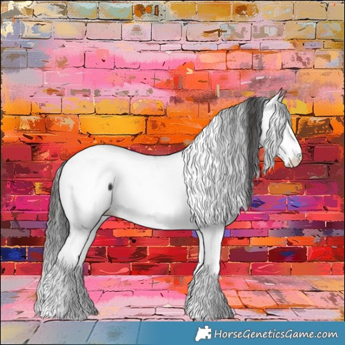 Horse Color:Smoky Black Tobiano Frame Appaloosa