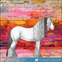 Horse Color:Smoky Black Tobiano Frame Appaloosa 