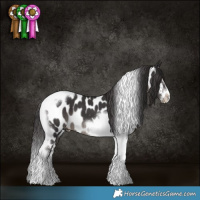 Horse Color:Smoky Black Tobiano Frame Near Leopard 