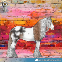 Horse Color:Liver Chestnut Tobiano Frame