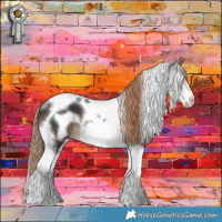 Horse Color:Liver Chestnut Tobiano Frame 
