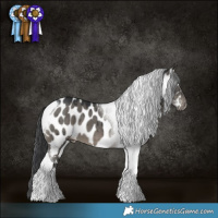 Horse Color:Grullo Tobiano Near Leopard Brindle 