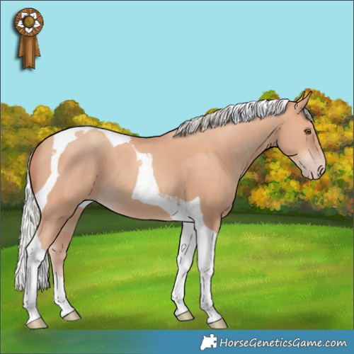 Horse Color:Silver Classic Champagne Tobiano