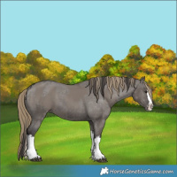 Horse Color:Smoky Grullo Sabino Splash  and Smoky Grullo Sabino Splash Varnish 