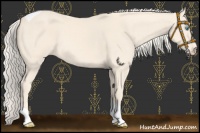 Horse Color:Cremello Tobiano