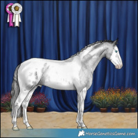 Horse Color:Blue Roan Splash Tobiano Blanket Rabicano