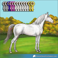 Horse Color:Brown Tobiano Varnish 