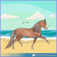 Horse Color:Gold Champagne Splash 
