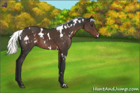 Horse Color:White Spotted Liver Chestnut Mushroom 