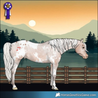 Horse Color:White Spotted Silver Brown Appaloosa Rabicano