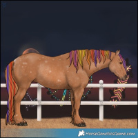 Horse Color:Painted Chestnut Rabicano 