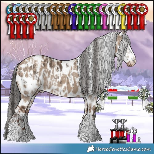 Horse Color:Brown Dun Sabino Appaloosa Rabicano  and Liver Red Dun Appaloosa 