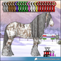 Horse Color:Brown Dun Sabino Appaloosa Rabicano and Liver Red Dun Appaloosa