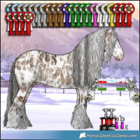 Horse Color:Brown Dun Sabino Appaloosa Rabicano  and Liver Red Dun Appaloosa 