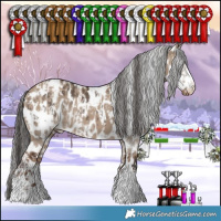 Horse Color:Brown Dun Sabino Appaloosa Rabicano and Liver Red Dun Appaloosa