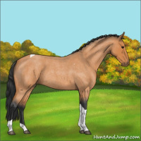 Horse Color:Bay Roan Tobiano