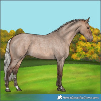 Horse Color:Silver Brown Roan Dun 