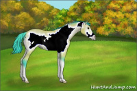 Horse Color:Watercolor Bay Onyx Frame 