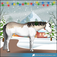 Horse Color:Brown Onyx Splash