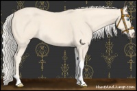 Horse Color:Cremello Tobiano