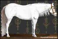 Horse Color:Brown Pearl Sabino Appaloosa