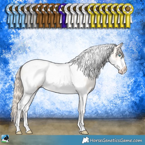 Horse Color:Perlino Tobiano Frame Appaloosa Rabicano 